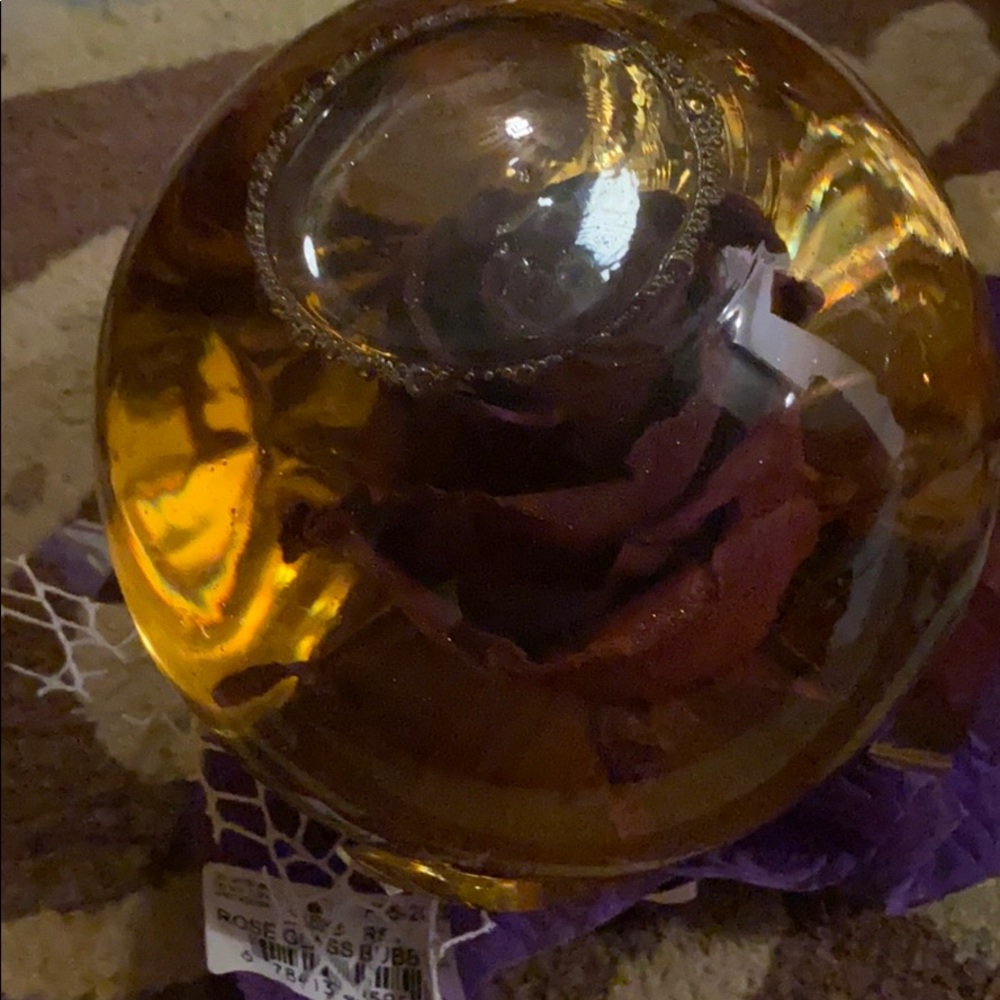 Rose In Water Glass